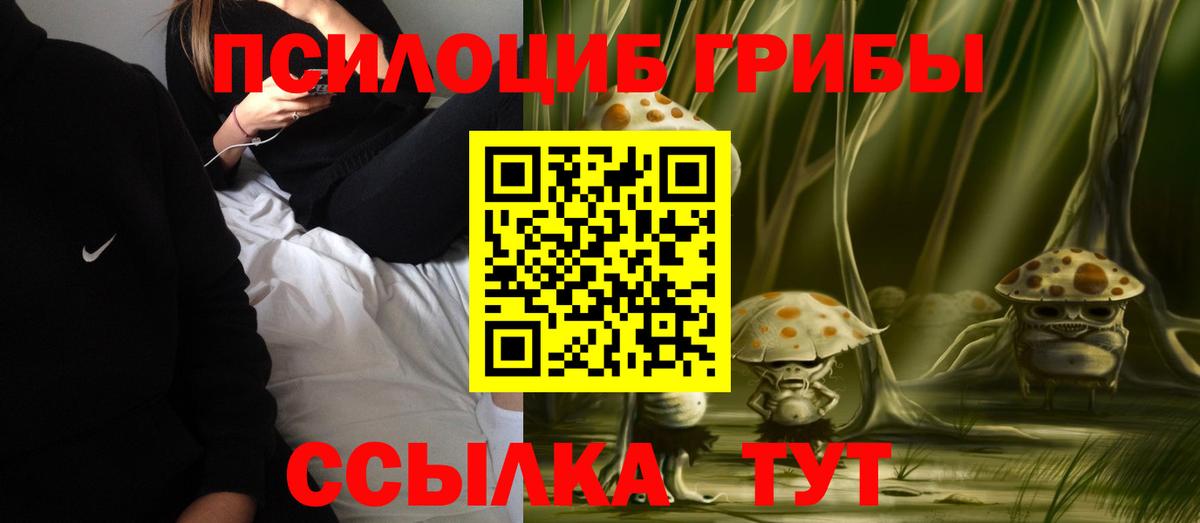 Псилоцибиновые грибы GOLDEN TEACHER  Вход с VPN  Прохладный 